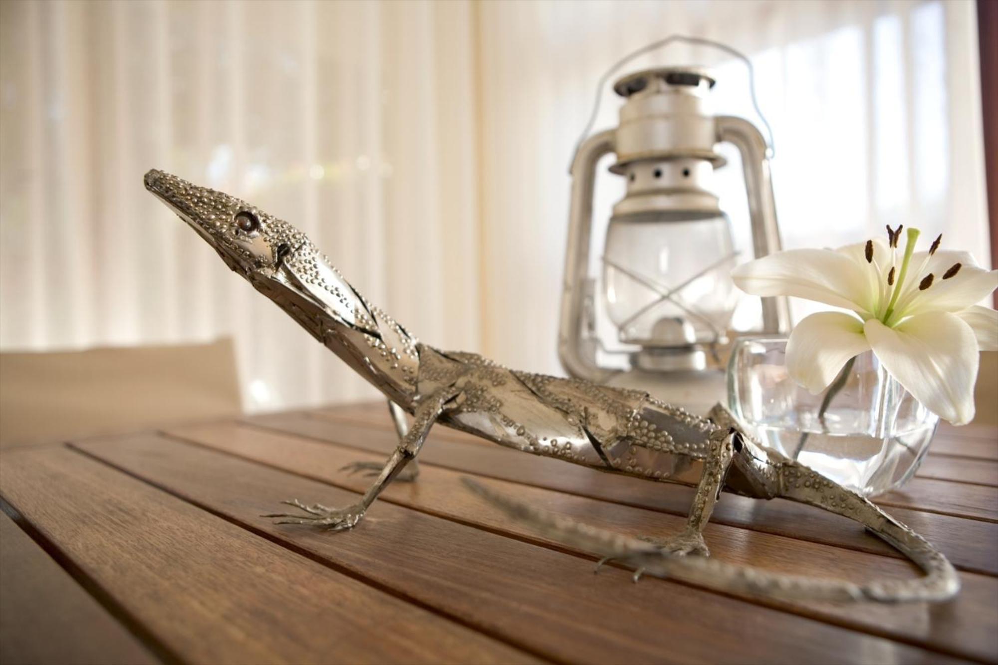 Lezard Bleu Guest House Κέιπ Τάουν Εξωτερικό φωτογραφία